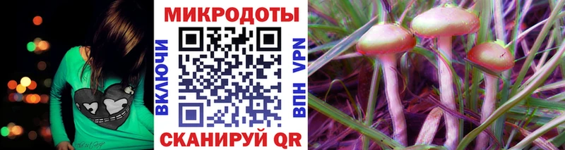 kraken как зайти  Биробиджан  Псилоцибиновые грибы GOLDEN TEACHER 